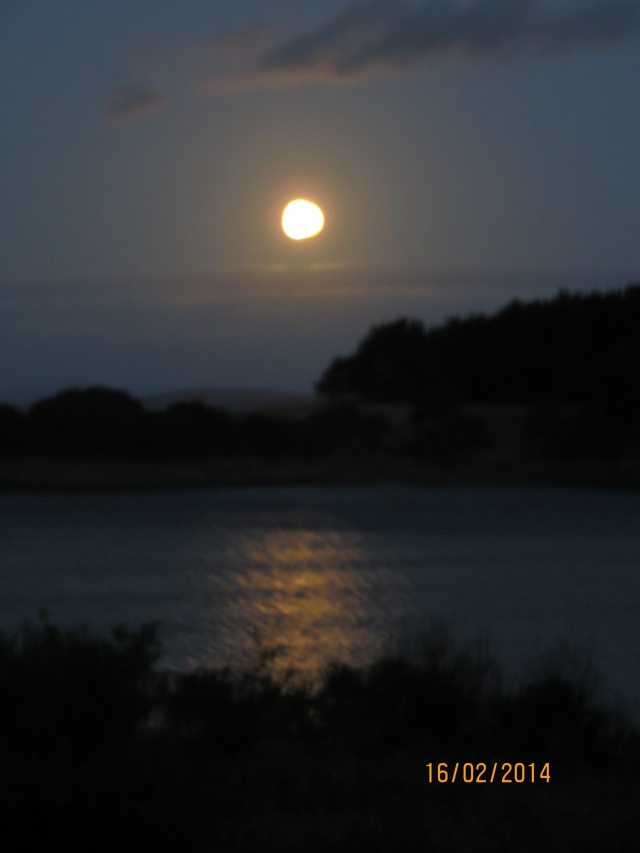 Full moon over the point